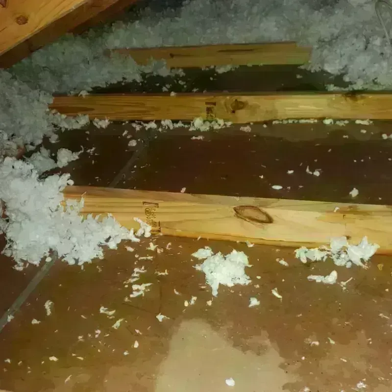 Attic Water Damage in Covington, IN